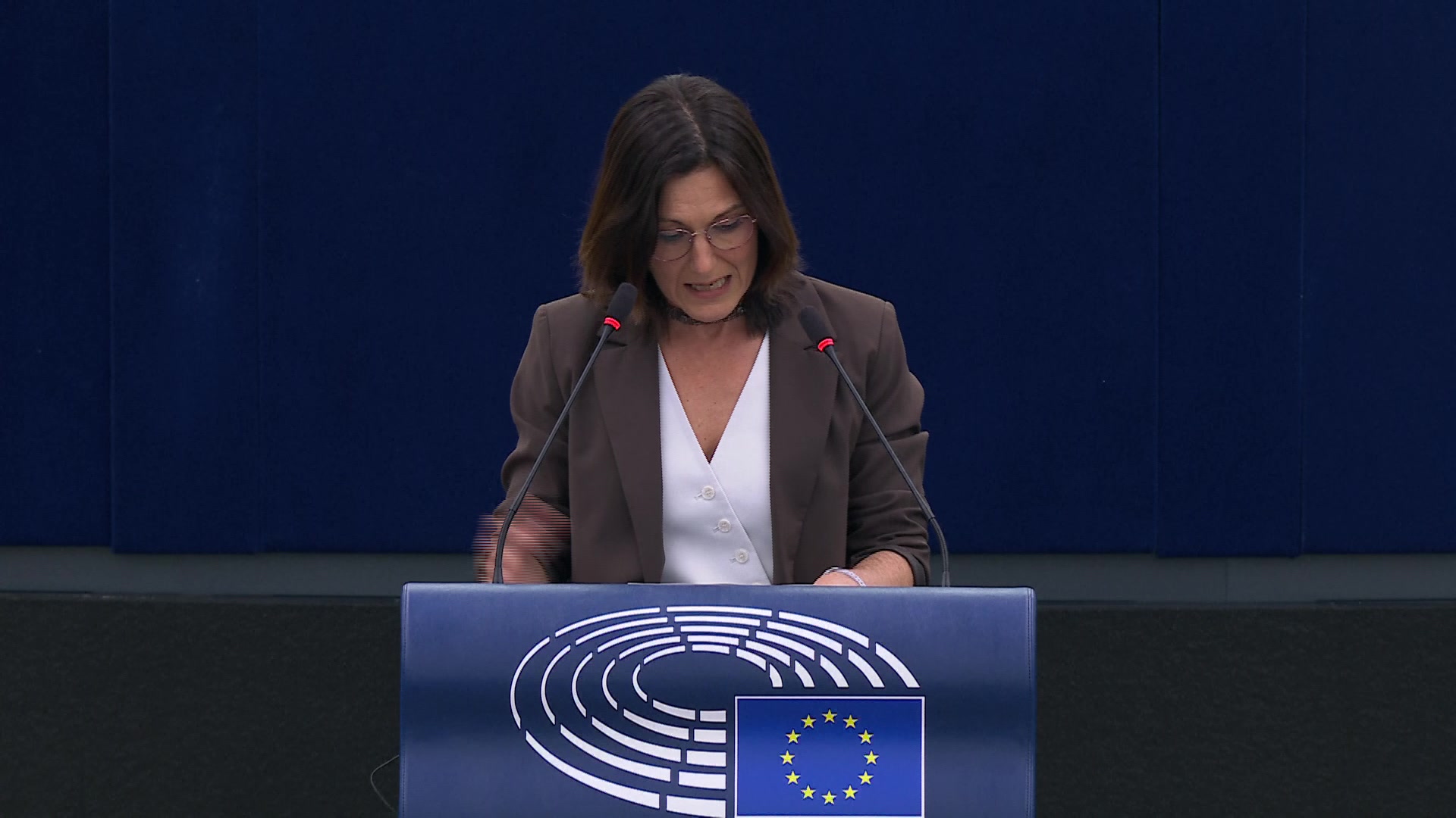 EU cybersecurity and preparedness in view of advanced AI systems: MEPs debate (part 3)